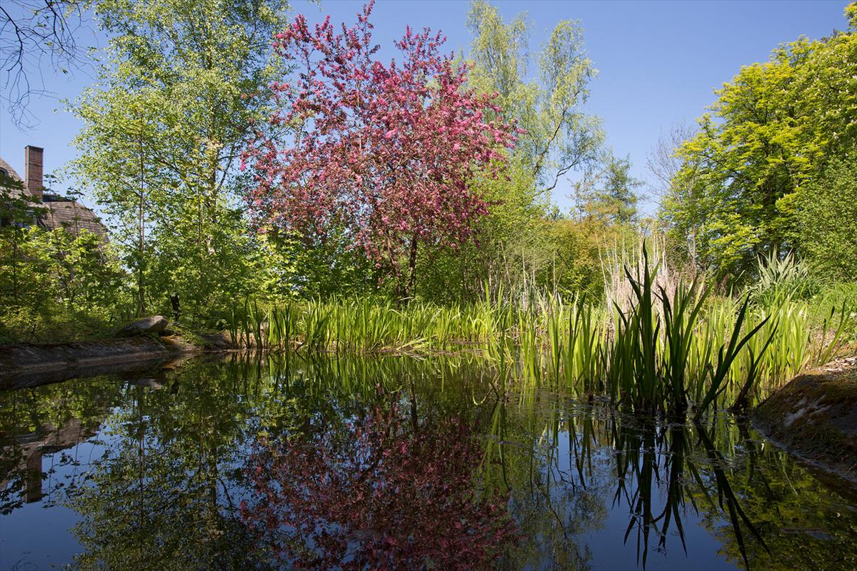 weiterer kleiner See im Park des Cup Vitalis